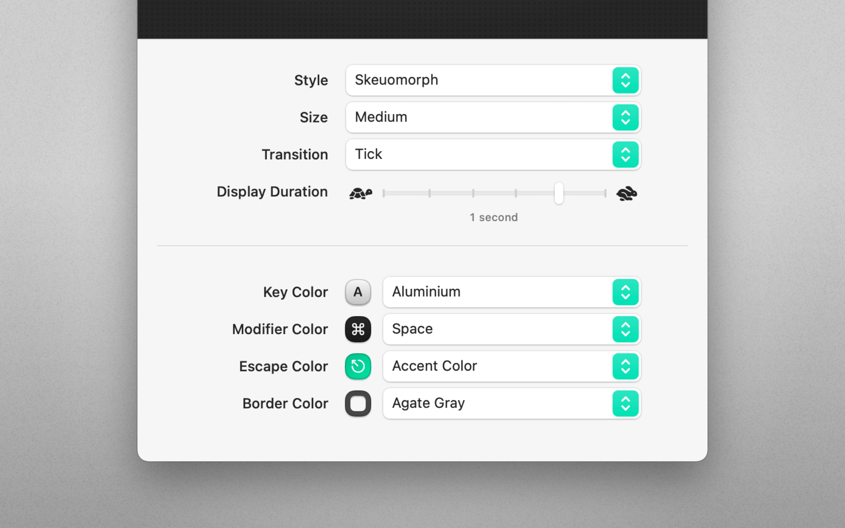 A close-up view of Keystroke Pro’s appearance settings, such as style, size, transition animations, and display duration.